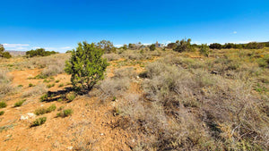 SOLD | 5.06 ACRES | CIBOLA COUNTY | GRANTS | NEW MEXICO | $15,000 | SECURE TODAY...