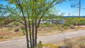 SOLD | 0.61 ACRES | 2 LOTS | CIBOLA COUNTY | NEW MEXICO | $10,000 | SECURE TODAY...