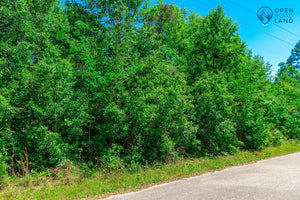 SOLD | 0.22 ACRE LOT | LEMON ST | JACKSON COUNTY | MISSISSIPPI | $6,000 | SECURE TODAY...