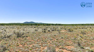 SOLD | 10 ACRES | LOT 31 TIERRA VERDE RANCHETTES | CIBOLA COUNTY | NEW MEXICO | $7,999 | SECURE TODAY...