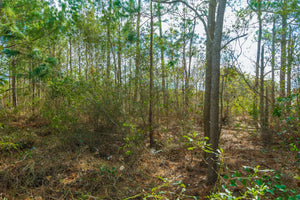 SOLD | 0.12 Acres | Hancock County | Cardinal St | Mississippi | $14,000 | Secure Today...