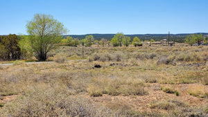 UNDER CONTRACT | 1.13 ACRES | CIBOLA COUNTY | NEW MEXICO | $18,000 | SECURE TODAY...