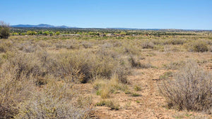 UNDER CONTRACT | 1.13 ACRES | CIBOLA COUNTY | NEW MEXICO | $18,000 | SECURE TODAY...
